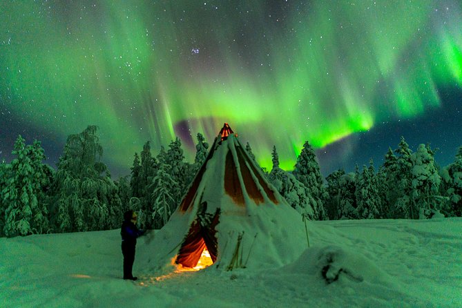 Northern Lights Photography Tour From Rovaniemi - Photography Techniques for the Aurora