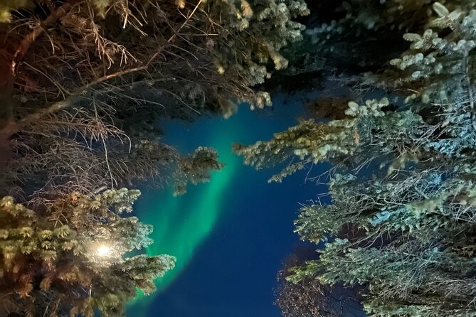 Northern Lights - Private - Explore the Northern Lights