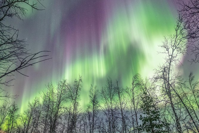 Northern Lights Private Tour With Your Special Ones - Greenlander - Northern Lights Viewing Locations