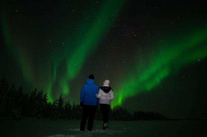 Northern Lights Reindeer Sledge Ride - Good To Know