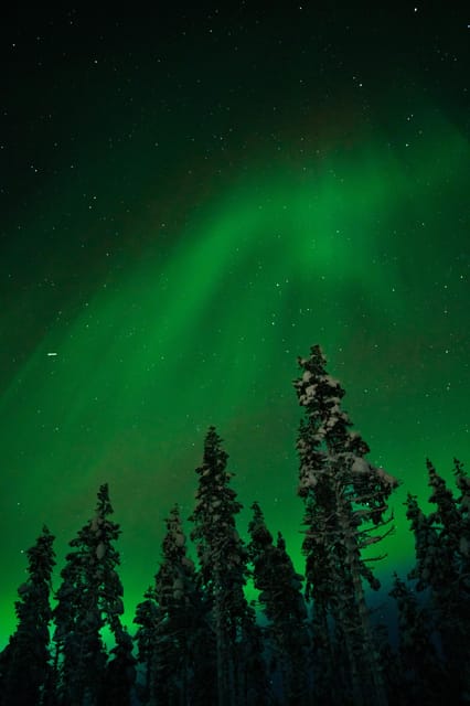 Northern Lights Reindeer Sledge Ride - Northern Lights Visibility