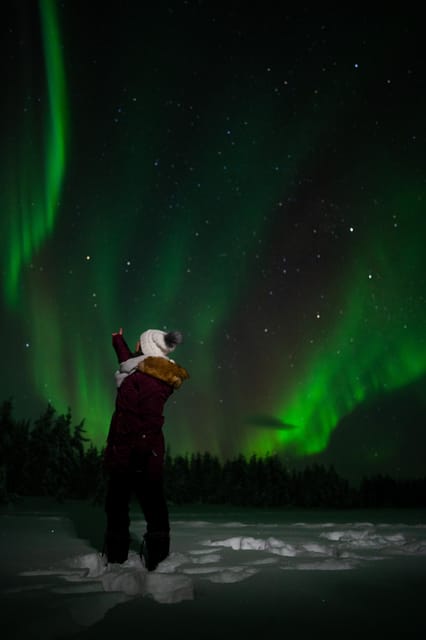 Northern Lights Reindeer Sledge Ride - Pricing and Duration
