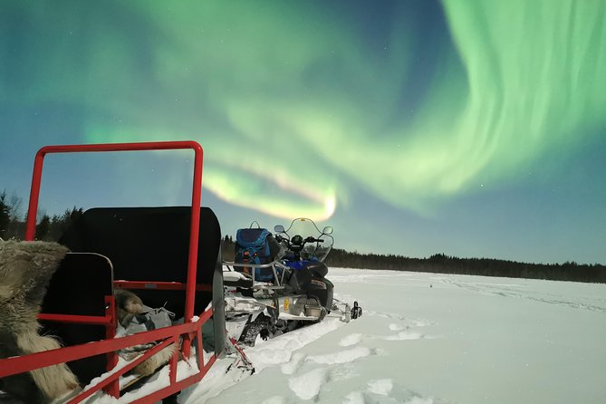 Northern Lights Sledge Ride - Inclusions and Highlights