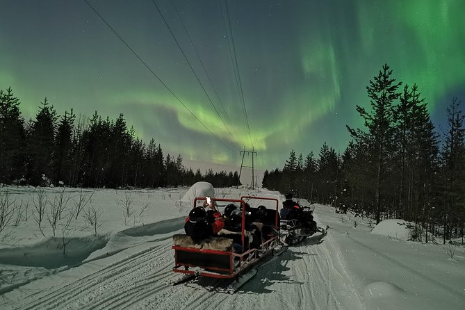 Northern Lights Sledge Ride - Participant Information