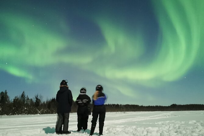 Northern Lights Sledge Ride - Customer Ratings and Feedback
