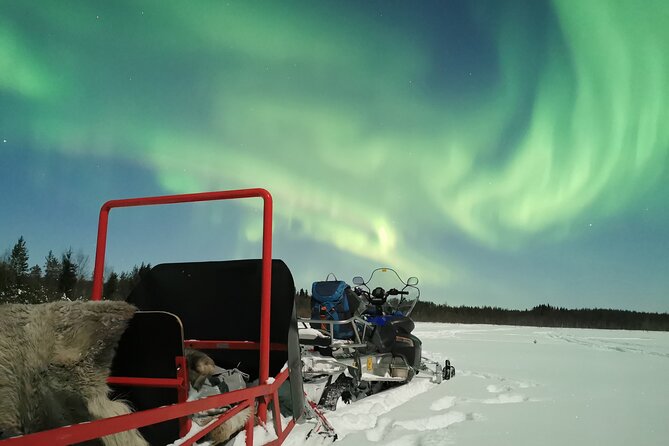 Northern Lights Sledge Ride - Helpful Tips and Recommendations