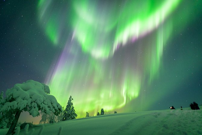 Northern Lights Snowmobile Driving Safari in Kemi - About Your Stay