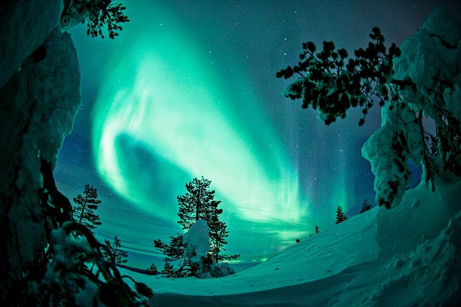 Northern Lights Snowmobile Driving Safari in Kemi - Gearing Up for the Adventure