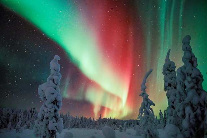 Northern Lights Snowmobile Driving Safari in Kemi - Worth The Stay