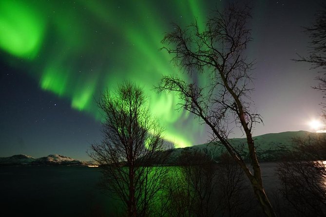 Northern Lights - Teslax Ecofriendly Car - Warm Refreshments and Snacks