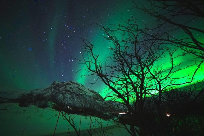 Northern Lights - Teslax Ecofriendly Car - Capturing the Aurora Borealis