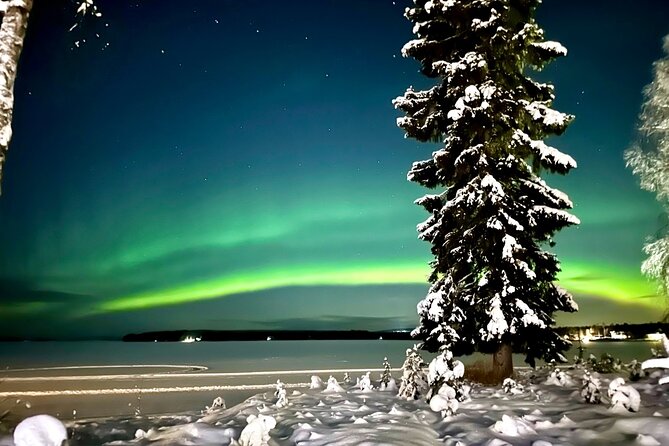 Northern Lights Tour At The Campfire - What to Expect