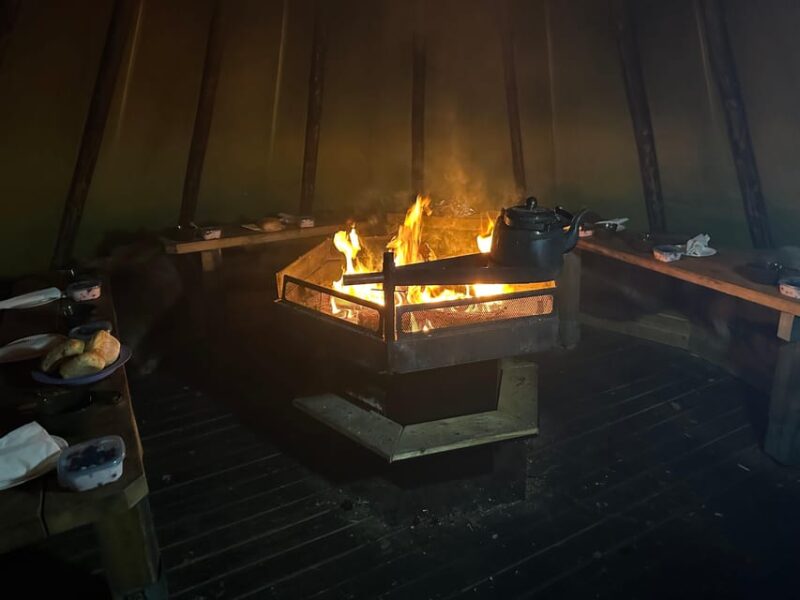 Northern Lights Tour by Boat to Lake Inari, Including BBQ - Booking Information