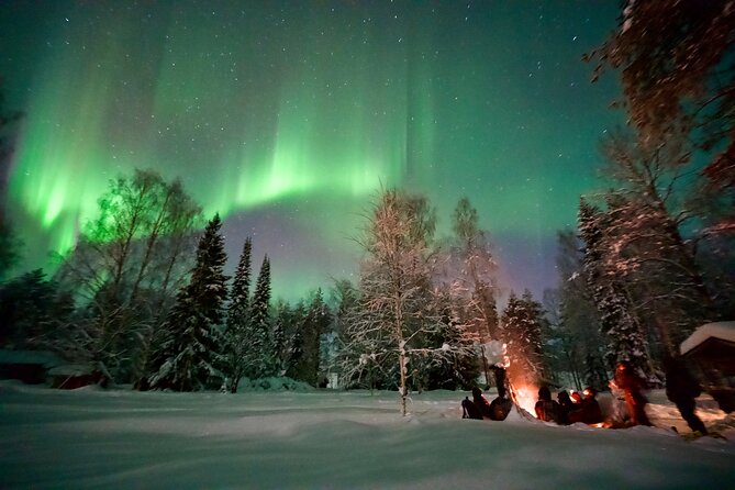 Northern Lights Tour in Atmospheric Cottage - Good To Know