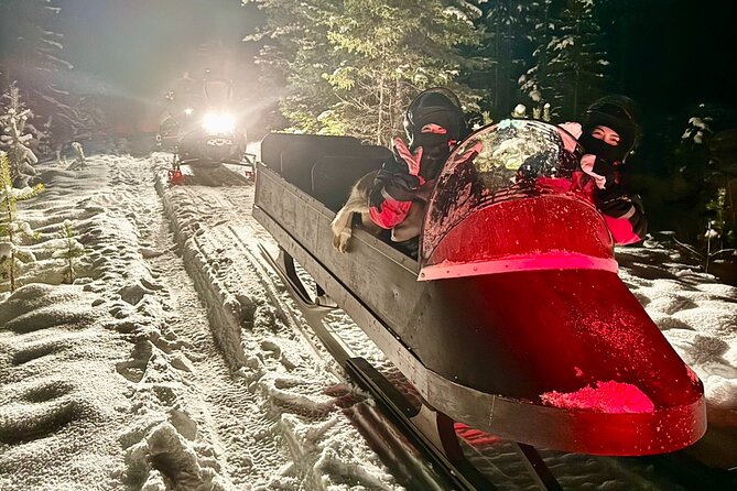 Northern Lights Tour Sleigh Ride - Quick Points