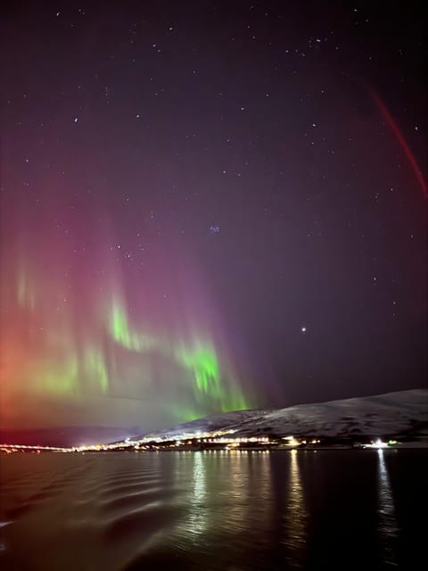 Northern Lights Tour - Experience Highlights