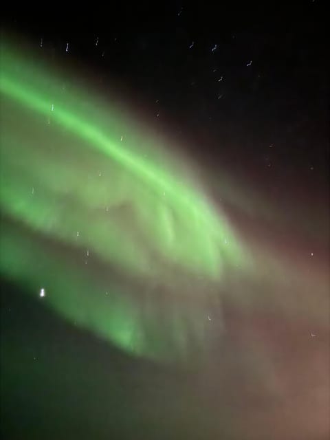 Northern Lights Tour - Bonfire and Nature Exploration