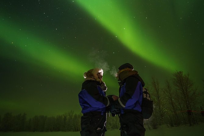 Northern Lights Tour to Lake Inari From Ivalo, Reindeers & Dinner - Menu Details
