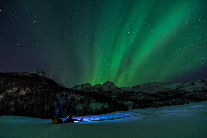 Northern Lights Tour With Alta Adventure - Tour Group Size