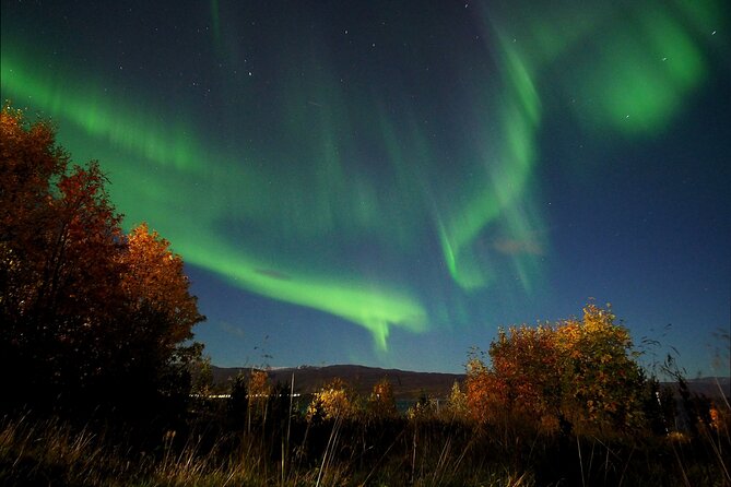 Northern Lights Tour With Alta Adventure - Cancellation Policy