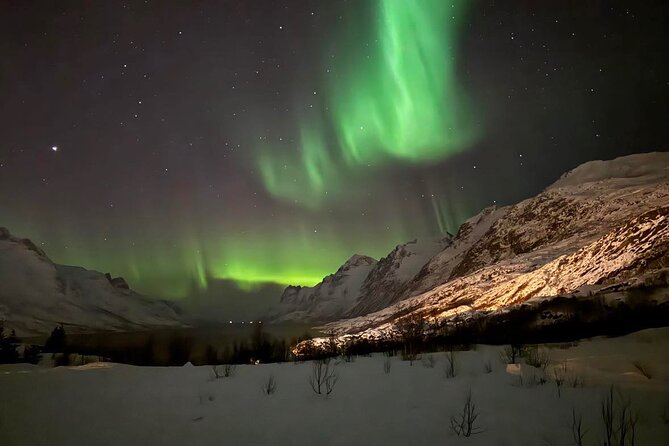 Northern Lights Tour With Hot Food and Drinks in Tromso - Meeting and Pickup
