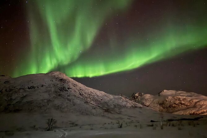 Northern Lights Tour With Hot Food and Drinks in Tromso - Additional Information
