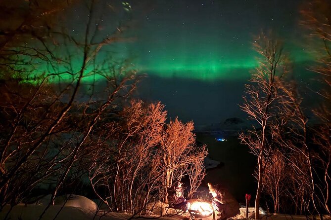 Northern Lights Tour With Hot Food and Drinks in Tromso - Booking and Cancellation