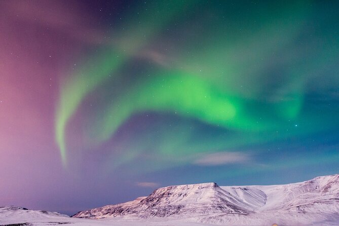 Northern Lights Tour With Icelandic Snacks and Hot Chocolate - Company Response