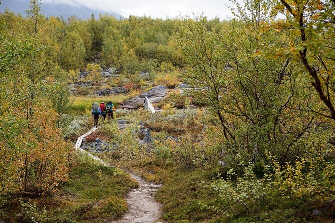 Northern Lights Tour With Skis Or Snowshoes in Pyhä - Key Points