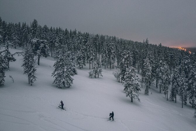Northern Lights Tour With Skis Or Snowshoes in Pyhä - The Northern Lights Experience
