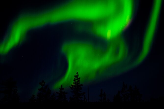 Northern Lights Tour With Skis Or Snowshoes in Pyhä - Booking and Confirmation Details