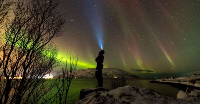 Northern Lights Tromsø - Small Group Tour With Local Guide - What to Bring and Prepare
