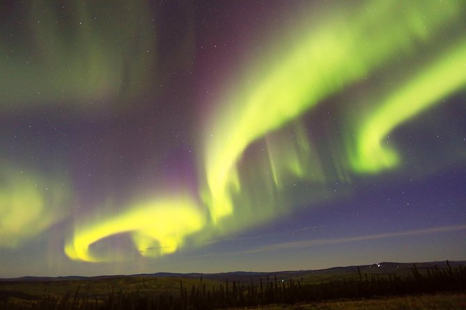 Northern Lights Viewing Including Dinner and 1-Hour Dog Sledding - Traveler Capacity and Weight Limit