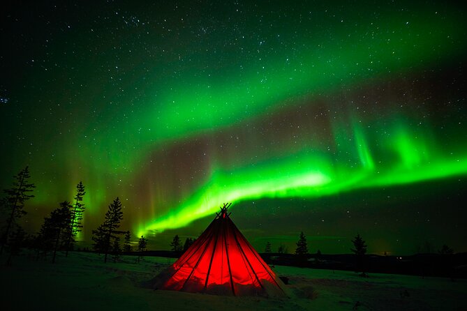 Northern Lights Wilderness Small-Group Tour From Rovaniemi - Additional Information