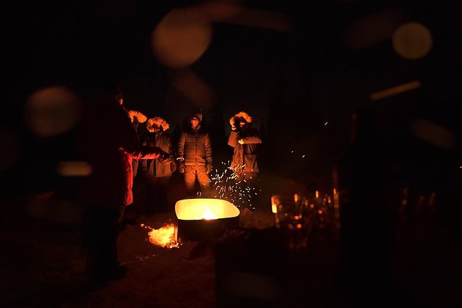 Northern Lights Winter Nights Adventure - Inclusions and Exclusions