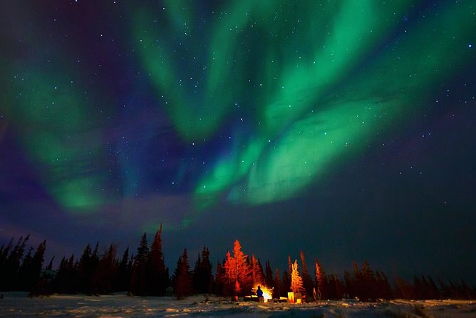 Northern Lights Winter Nights Adventure - Adventure Highlights