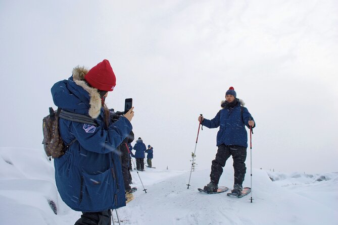 Northern Lights Winter Nights Adventure - Operated by Frontiers North