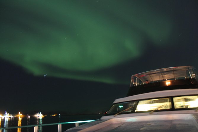Northern Lights Yacht Cruise - Customer Feedback and Reviews
