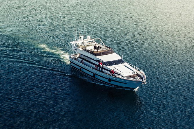 Northern Lights Yacht Cruise - About the Tour Operator