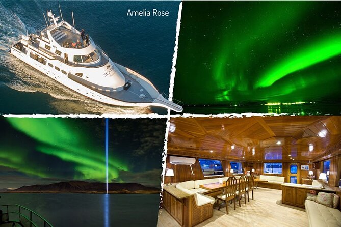 Northern Lights Yacht Cruise in Reykjavik - Reviews