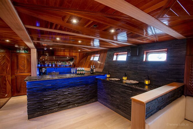 Northern Lights Yacht Cruise in Reykjavik - Whale and Dolphin Watching