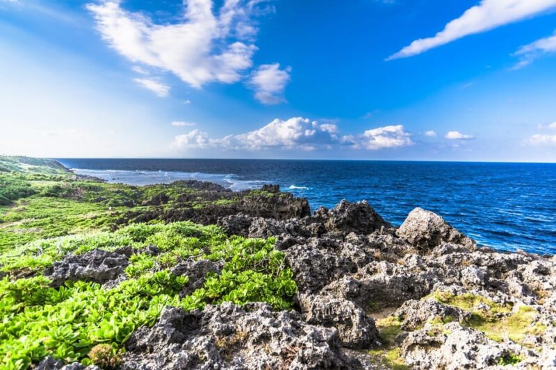 Northern Okinawa National Park Enjoyment Course [C-course] - Key Points