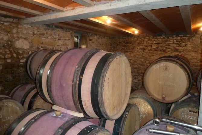 Northern Rhône Valley Wine Half Day Tour From Lyon - Accessibility Information