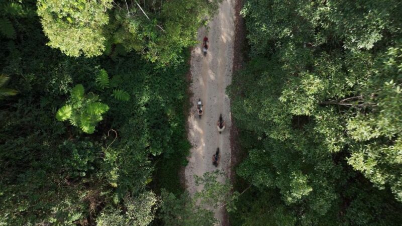 Northern Rivers Rail Trail E-Bike Hire W Shuttle From Byron - Tour Itinerary