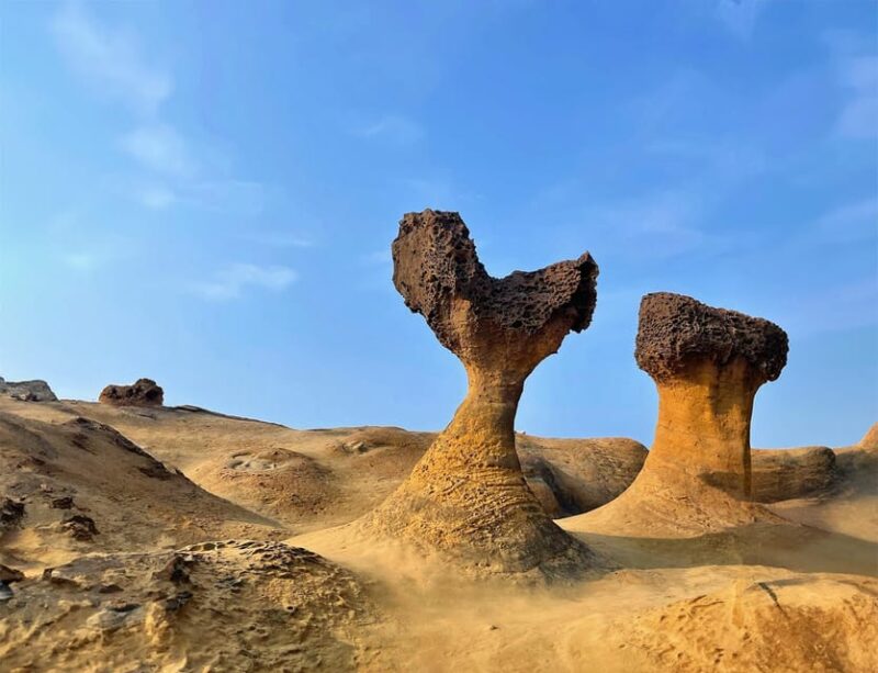 Northern Taiwan Private Adventure: Yehliu, Jiufen, & Pingxi - Itinerary Highlights