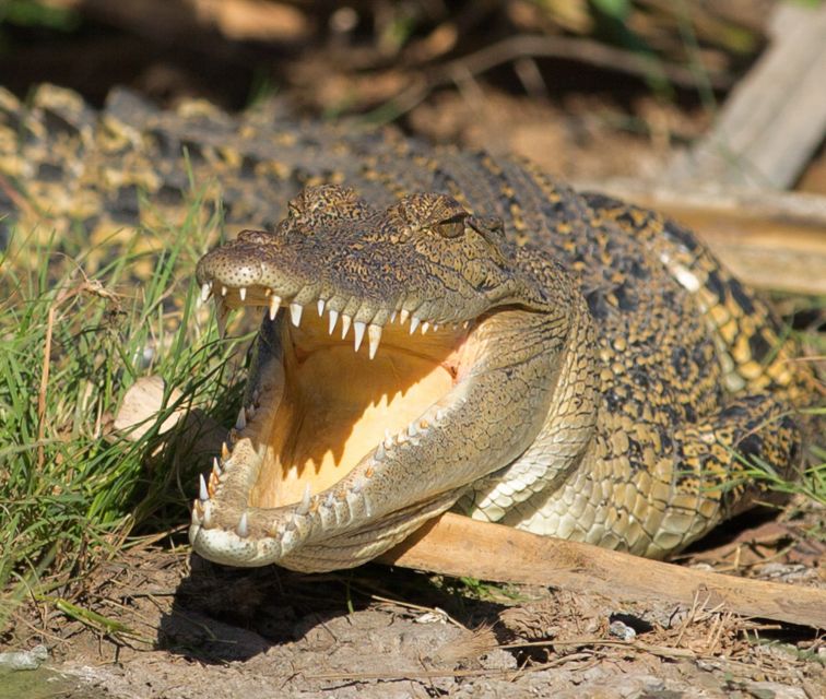 Northern Territory: Corroboree Billabong Nature Cruises - Logistics and Amenities