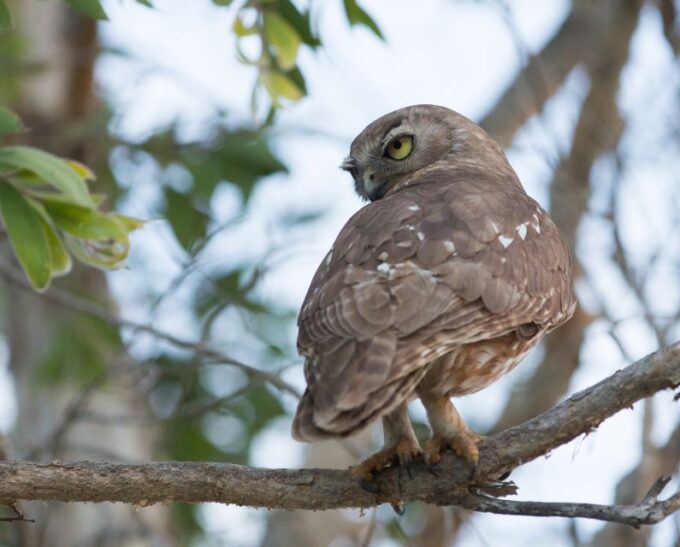 Northern Territory: Corroboree Billabong Nature Cruises - Facilities