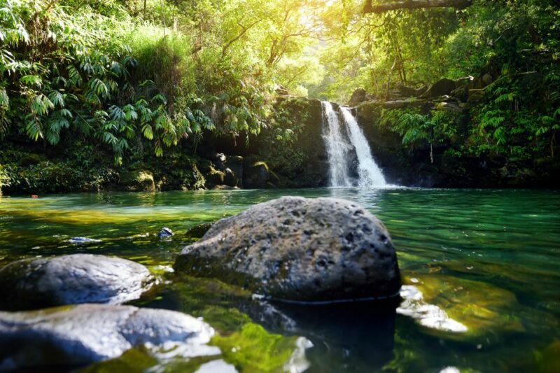 Northshore Maui: Guided Rainforest and Waterfall Walk - Key Points
