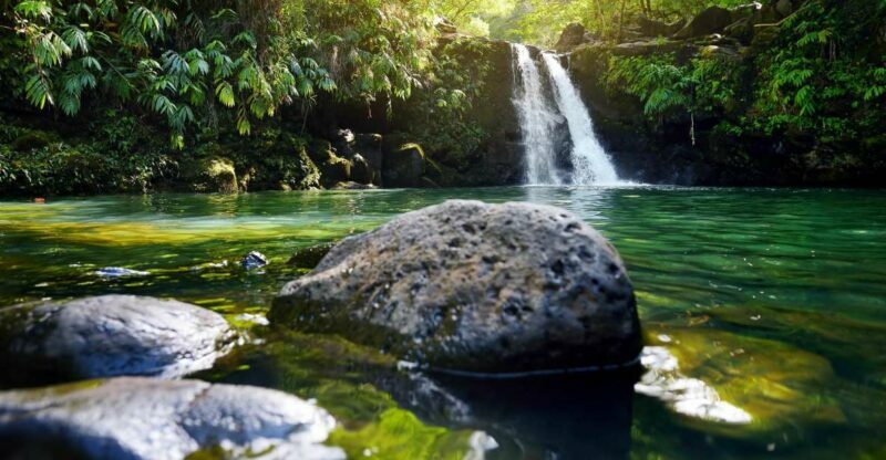 Northshore Maui: Guided Rainforest and Waterfall Walk - Who Will Love This Tour?
