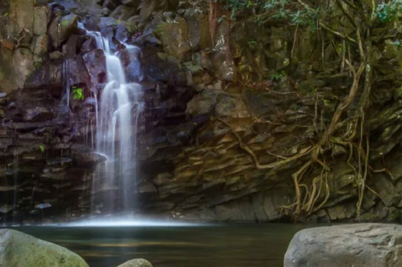 Northshore Maui: Guided Rainforest and Waterfall Walk - The Sum Up